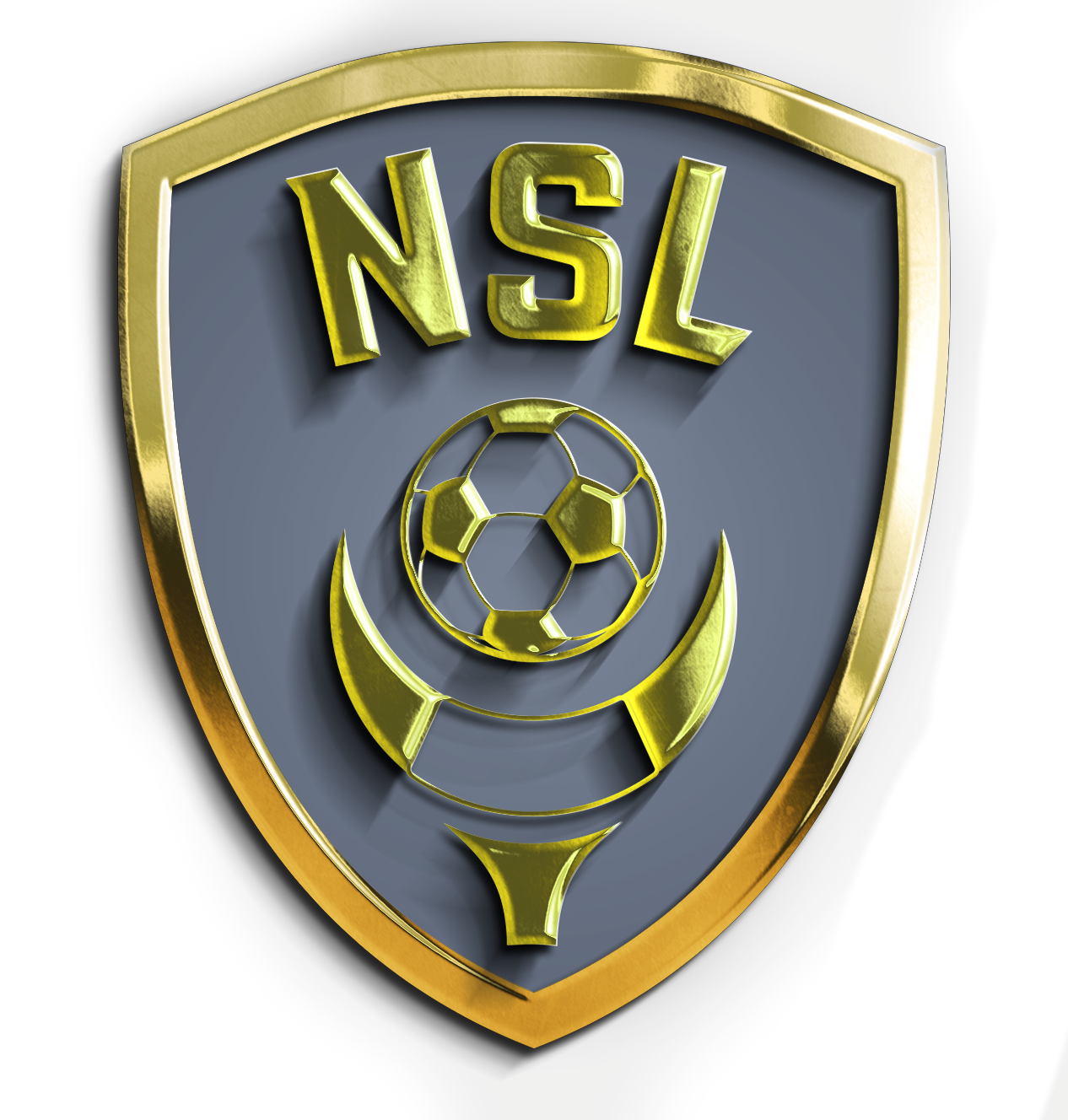 NSL Logo